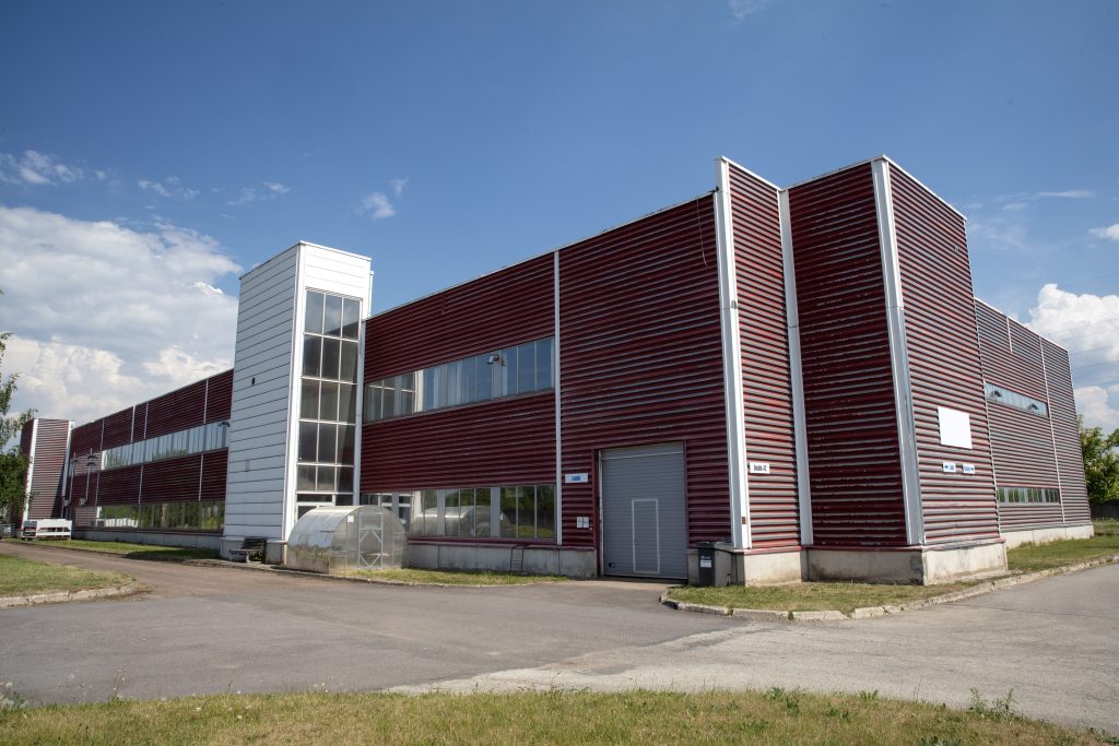 2C5A0761-copy-1024x683